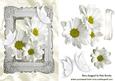 White Daisies with Butterflies in Antique Frame