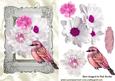 Pink Shades of Flowers with Bird in Antique Frame