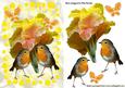 Autumn Shades of Yellow Flowers with Robins