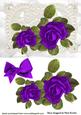 Beautiful Purple Roses on Vintage Lace with Bow