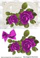Beautiful Pink Roses on Vintage Lace with Bow