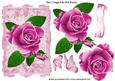 Pretty Pink Painted Roses on Lace