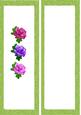 Beautiful Shades of Coloured Roses Dl Insert