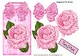 Pink Roses and Bow on Floral Tag