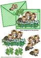 Cute Kittens in a Flower Bed on Card & Envelope