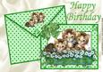 Cute Kittens in a Flower Bed on Card & Envelope A4