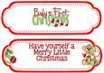 Babys 1st Christmas with Little Monkey Dl Insert with Verse