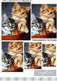 Cute Little Kittens Pyramids