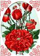 Pretty Red Flowers in Oval Frame A4
