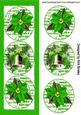 Green Christmas Arrangements in Dl Frame