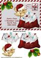 Letter to Santa with Robin and Mail Bag