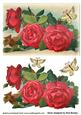 Beautiful Vintage Red Roses with Butterflies
