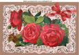 Beautiful Red Roses on Vintage Lace A4