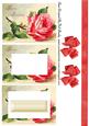 Pretty Pink Roses Tunnel Pyramids