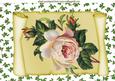 Vintage Pink Roses on Scroll with Holly A4