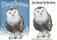 Snowy White Owl in the Snow