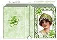 Vintage Lady in Green in Ornate Frame Folded Book