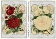 Vintage Red & Cream Flowers in Ornate Frames Cards
