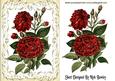 Vintage Red Flowers in Cream Scroll Frame