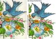 Blue Bird with Flowers