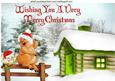 Watch Where You Piggin Put That Holly A4