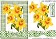 Yellow Daffodils with Gingham Bow in Frame