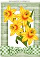 Yellow Daffodils with Gingham Bow in Frame A4