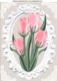 Pretty Pink Tulips in Ornate Frame A4