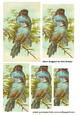 Pretty Pair of Vintage Blue Finches Pyramids