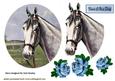 Grey Horse with Blue Roses
