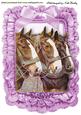 Beautiful Horses in Lilac Frill Frame with Bow A4