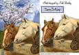 Horses with Blossoms in the Spring