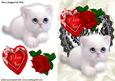I Love You Heart with Rose and Kitten