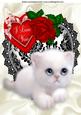 I Love You Heart with Rose and Kitten A4