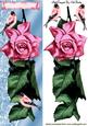 Pink Rose with Little Birds Tall Dl Card