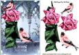 Pink Rose with Little Birds in the Garden