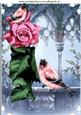 Pink Rose with Little Birds in the Garden A4