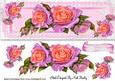 Beautiful Roses in Pink/peach on Lace Dl
