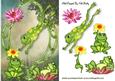 Playful Frogs in the Woods