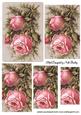 Pink Winter Roses with Brambles Pyramids