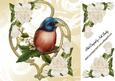Little Bird with Cream Roses 8x8