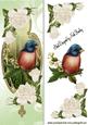 Little Bird with Cream Roses Tall Dl Card
