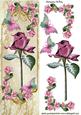 Single Pink Rose with Butterflies Tall Dl