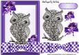 Diamond Owl on a Purple Gingham Bow with Flowers