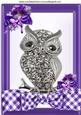 Diamond Owl on a Purple Gingham Bow with Flowers A4