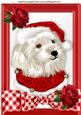 Lovely Westie in Red Gingham Frame with Bow & Rose A4