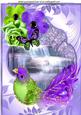 Pretty Fantasy Bird with Flowers and Waterfall A4