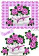 Baby Girl Shoes with Pink Roses