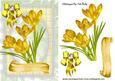 Yellow Flowers with Diamond Bow
