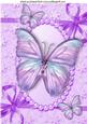 Pretty Purple Butterflies in Pearl Frame A4